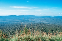 scenery1